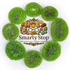 Smarty Stop Dried Fruits Great Healthy Snack (Dried Kiwi, 2