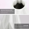 1 Piece White Vase, Irregular Vase, Geometric Plastic Vase, Desktop