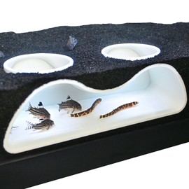 Aquarium Underground Tunnel Cave Natural Curve Two Hole | Viewing Fish & Shrimp Under Gravel Tunnel | Fish Tank Decor Decoration Hideout Perfect for Corydora Catfish, Kuhli Loach, Pleco (White)