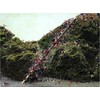 Shrimp Nature Shrimp Lollies Moringa Power shrimp food GlasGarten (Moringa)