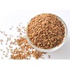 Food to Live Alfalfa Seeds for Sprouting, 1 Pound –