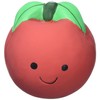 Petface Latex Tomato Soft Chew Dog Toy, Large