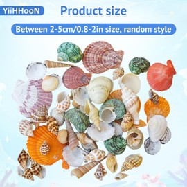 YiiHHooN Sea Shells, 200g Mixed Small Beach Seashells, Various Kinds Conch Shell Hermit Crab Shells Set for Fish Tank Beach Party Supplies Vase Fillers DIY Crafts Home Decorations