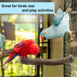 Wooden Bird Perch for Cage 8 Pcs, Wood Parrot Perch, Parakeet Perches Stand, Hanging Multi-Branch Perch Platform