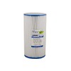 Darlly SC756 PLBS 50 SF Hot Tub Filter FC-2970 -