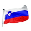 FLAGLY Premium Slovenia flag, 100 x 150 cm, 115 g/m²
