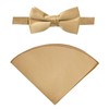Spring Notion Boys' Satin Bow Tie and Handkerchief Set Large