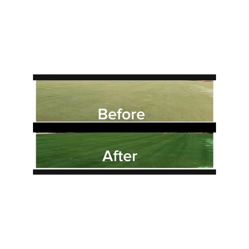 Green Green EcoColorants Ready-To-Use Green Grass Paint Gallon-No Mixing! Comes