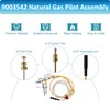 Long Term 9003542 Pilot Assembly Replacement for Natural Gas Water