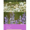 HYNTMYT Chamomile Lavender Tea Bags 120 Teabags | Bulk Buy