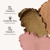 Julep Eyeshadow 101 Crème to Powder Waterproof Eyeshadow Stick Duo,