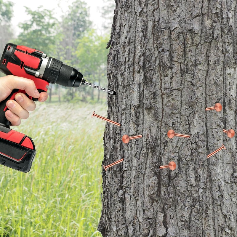 25 Pcs Copper Nails Kit to Killing Trees,Includes 23PCS 3.5