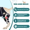 Dog Knee Brace for ACL Support, Adjustable Leg Brace for