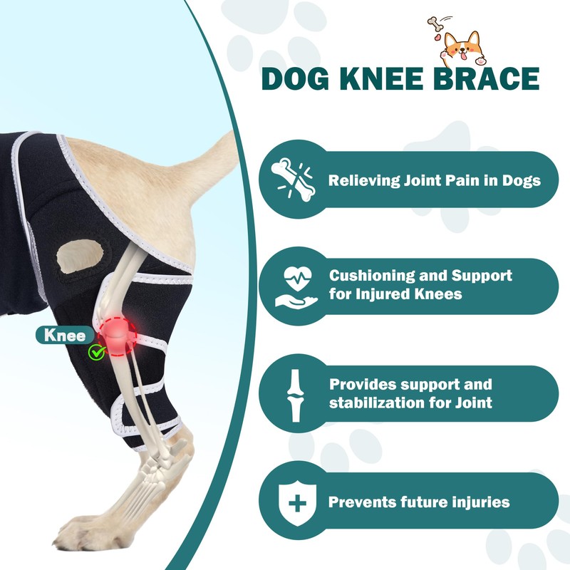 Dog Knee Brace for ACL Support, Adjustable Leg Brace for