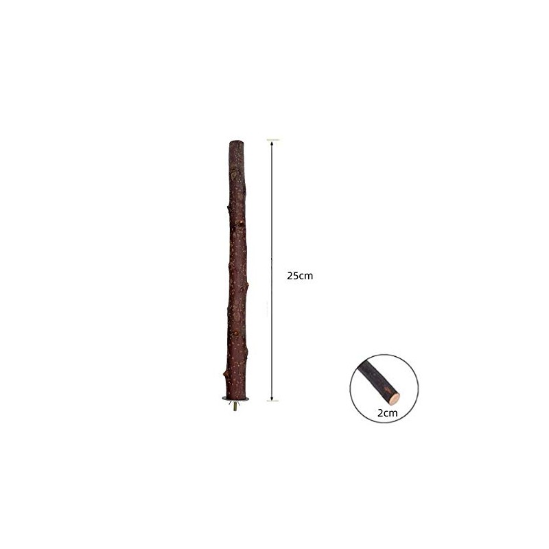 I Shape Bird Perch Parrot Branch Apple Tree Nature Tree