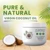 PUROLEO Cold Pressed Extra Virgin Coconut Oil 8 Fl Oz/236