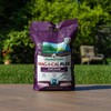 Jonathan Green (11357) Mag-I-Cal Plus Soil Food for Lawns in