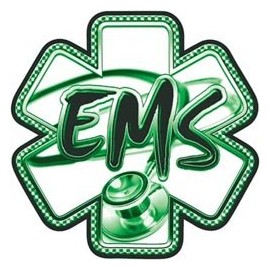 Green EMS Stethoscope Star of Life Decal - 24" h - REFLECTIVE