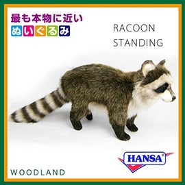 HANSA ハンサ ぬいぐるみ 5238 アライグマ 38 RACOON STANDING