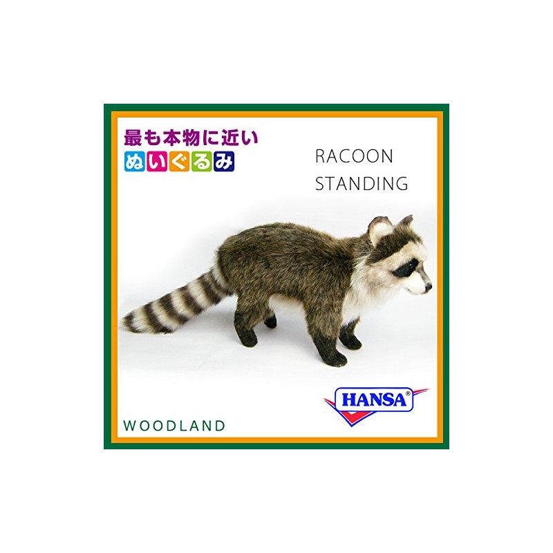 HANSA ハンサ ぬいぐるみ 5238 アライグマ 38 RACOON STANDING