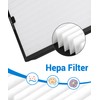 2 Pack F301H HEPA Filter Replacement Compatible with BluDri, Mounto