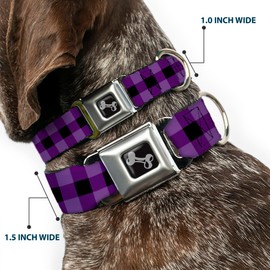 Buckle Down Seatbelt Buckle Dog Collar - Buffalo Plaid Black/Purple - 1" Wide - Fits 11-17" Neck - Medium