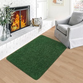 ZJYeRug 2x3 ft Small Entryway Throw Rugs for Bedroom, 2x3 Mini Area Rug Deep Green, Affordable Non Slip Fluffy Carpet, Fuzzy Soft Living Room Rugs Girl,Kids Baby Boys Teen Modern Aesthetic Home Décor