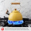 ROCKURWOK Tea Kettle, Tea Pot with Cool Touch Ergonomic Handle,