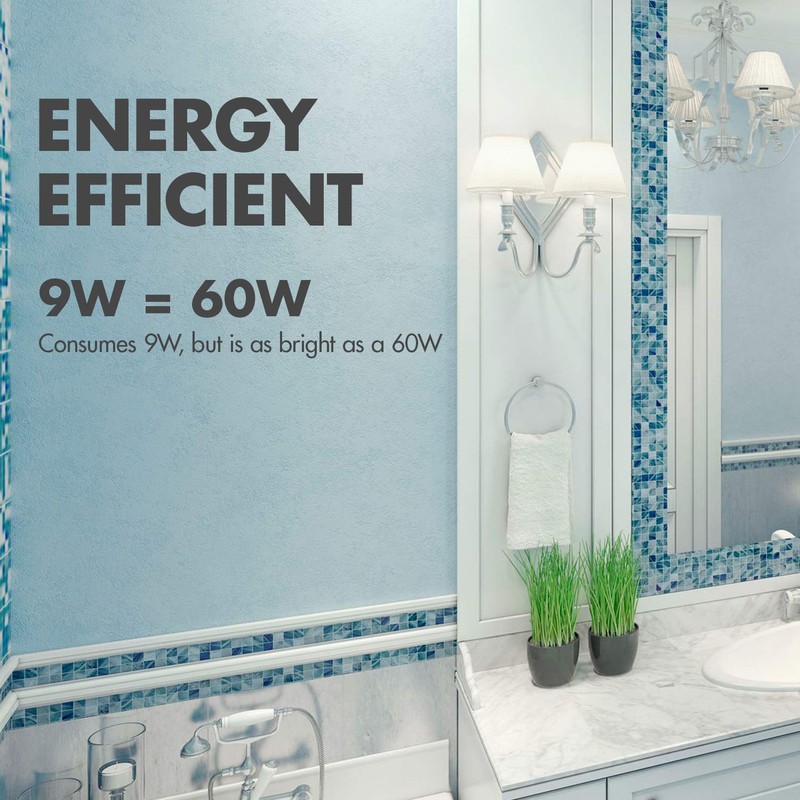 Tenergy LED Light Bulb, 9 Watts (60W Equivalent) A19 E26