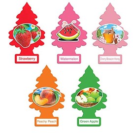 Little Trees Variety Pack (5 Count) Fruity Edition