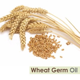 Wheat Germ Essential Oil 100% Pure & Natural - Undiluted Uncut Cold Pressed Aromatherapy Premium Oil - Therapeutic Grade - 100 ML