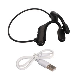 Language Translator Earbuds Bluetooth 5.3 144 Online Languages Noise Reduction Waterproof Wireless Translator Earphones Black