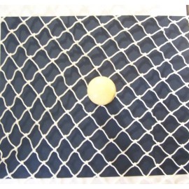 Goodwin Netting 20' x 10'  GOLF IMPACT NET HOCKEY MULTI SPORTS  NYLON NETTING 1" #21