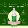 emmabram Clorofila Líquida con Extractos de Menta, Spirulina y Hierbabuena