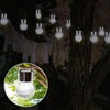 Cepewa Solar Lights Crackle 6 x 11 cm Set of