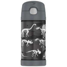 Thermos FUNtainer Insulated Stainless Steel Bottle 355ml, Dinosaurs