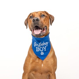 Birthday Boy with Cupcake Dog Pawdy (Party) Celebration Dog Bandana (Green, XS 214)