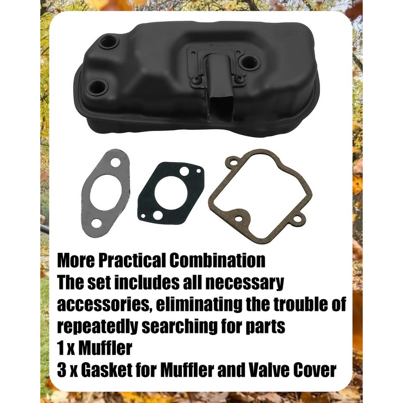 42831400611 Muffler with Valve Cover Gasket & Muffler Gasket Fit