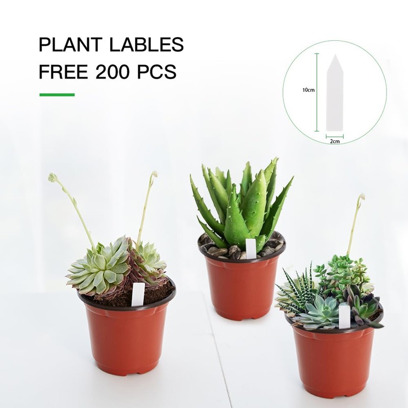 JERIA 200 Pack 6 Inch Plastic Nursery Pots Comewith Drainage