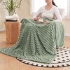 Vessia Flannel Fleece Throw Blanket for Couch,Sofa,Bed, 300GSM Striped Sage