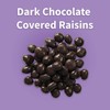 Dark Chocolate Covered Raisins – Fruity Raisins covered in 64%