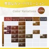 【白髪染め】シエロ ムース カラー 3S (おまけ付き)[医薬部外品] ホーユー