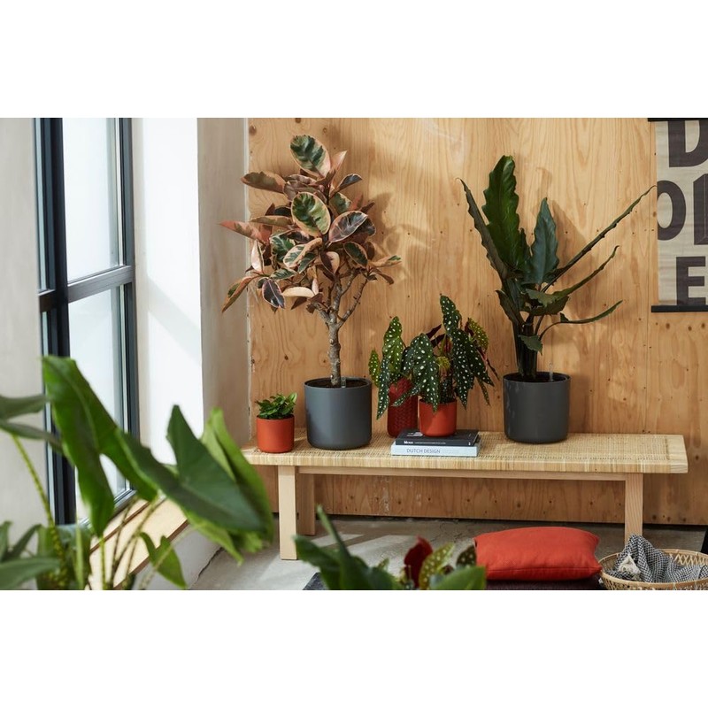 Elho B.for Soft Flower Pot