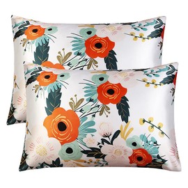 BEDELITE Satin Pillowcase for Hair and Skin Digital Printing, Super Soft Cooling Similar to Silk Pillow Cases 2 Pack with Envelope Closure, Gift for Women Men(Queen 20x30 Inch, Multicolor)