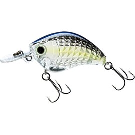 Yo-Zuri R1443-GSSS: 3Dr-X Flat Crank (F) 55Mm 2-1/8", Ghost Sexy Shad