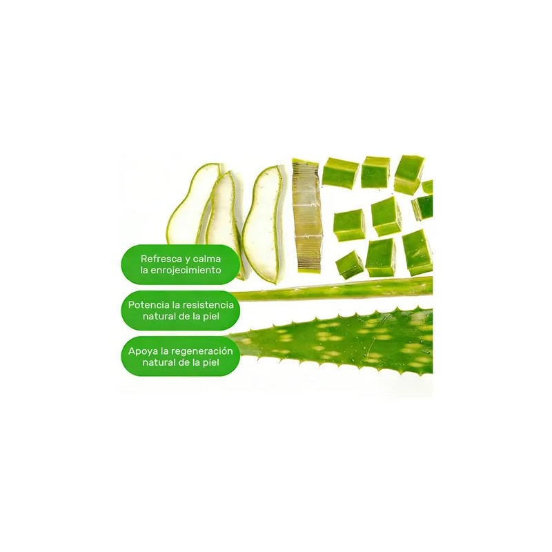 Eqqualberry Aloe Pdrn Suero Suavizante Calmante Todo Tipo De Piel