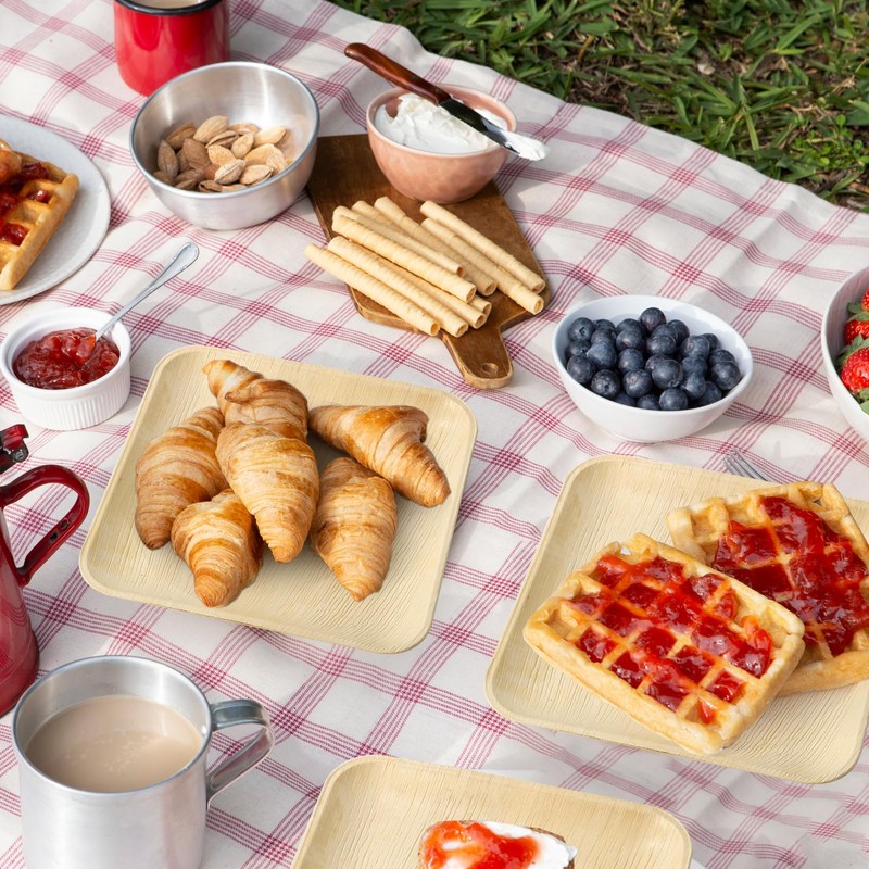 ECOLipak 10 Inch Compostable Palm Leaf Plate Like Bamboo Plate,