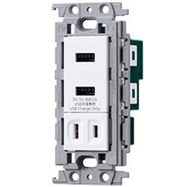 Panasonic WTF14724W Wide Embedded Charging USB Outlet 2 Port