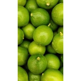 Fresh Key Limes 3 lbs.