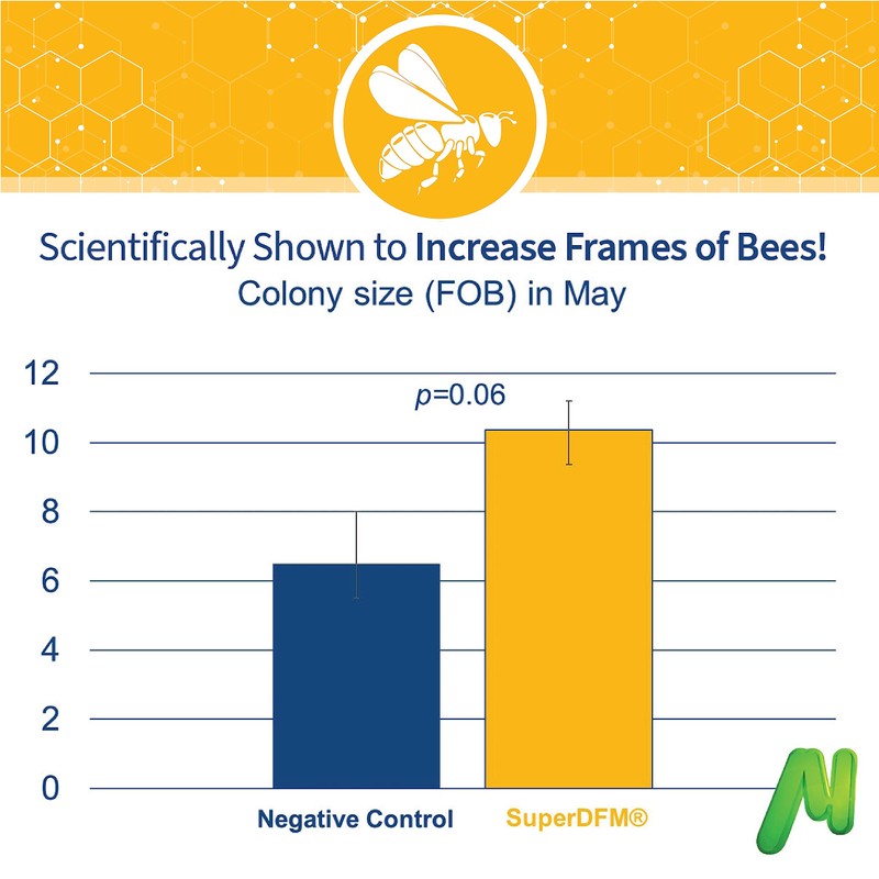 SuperDFM-HoneyBee, Probiotic Supplement for Honey Bees, 50 Applications